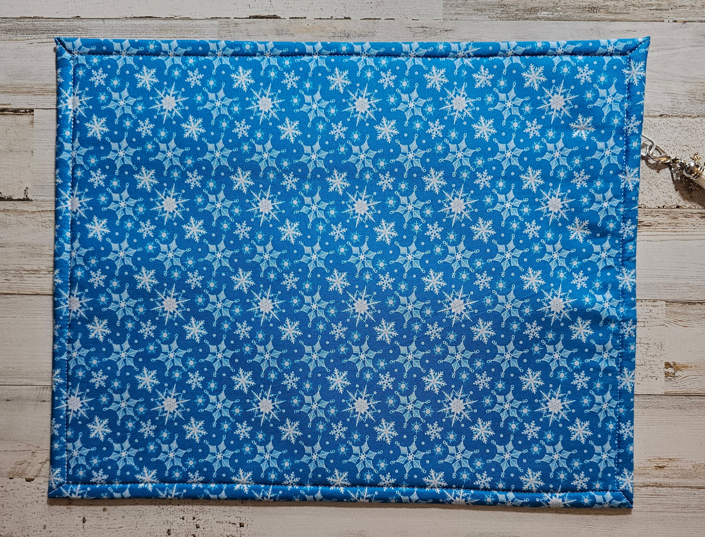 Project Bag - 11" X 14" - Christmas Goodies